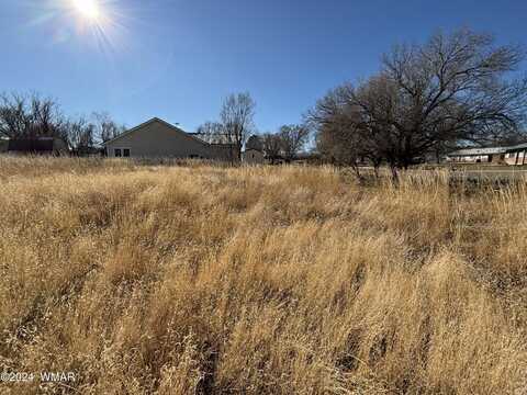 464 S WEST Street, Springerville, AZ 85938