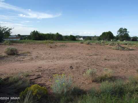 Tbd W Cedar Crest Drive, Snowflake, AZ 85937