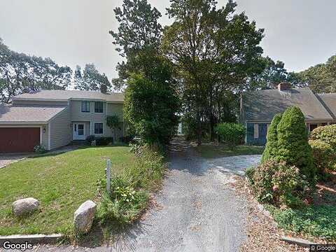 Alder, NORTH FALMOUTH, MA 02556