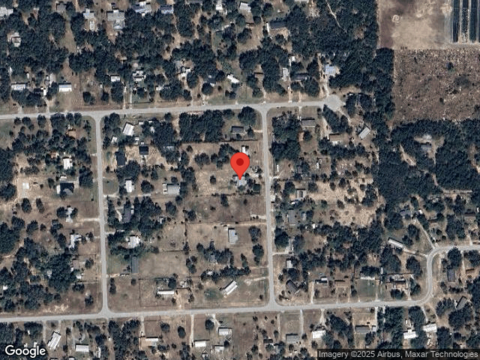 Morgan Horse, LAKE WALES, FL 33898