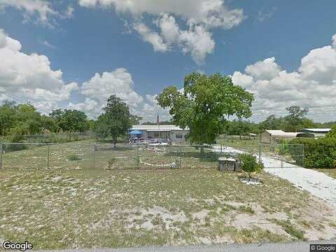 Morgan Horse, LAKE WALES, FL 33898