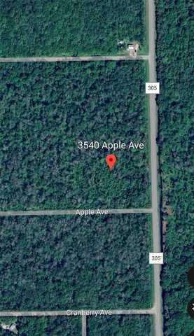 Apple, BUNNELL, FL 32110