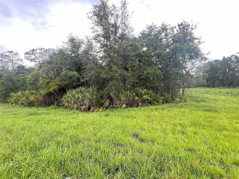St Johns, PALATKA, FL 32177
