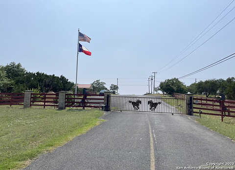 Thoroughbred, SPRING BRANCH, TX 78070