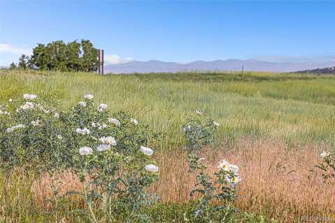 Turret, SEDALIA, CO 80135