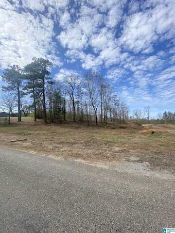 Westside Road, Brookwood, AL 35444