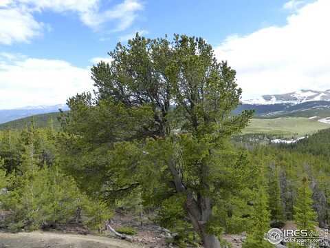 American City Road, Black Hawk, CO 80422