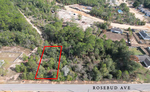 Rosebud, CRESTVIEW, FL 32539