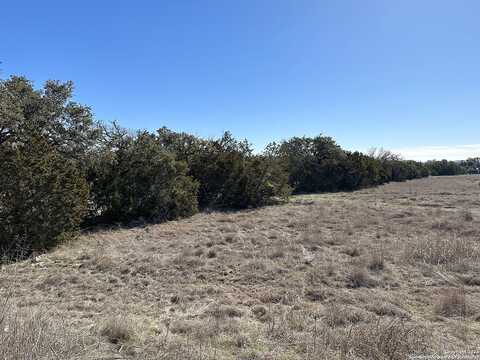 Rayner Ranch, SPRING BRANCH, TX 78070