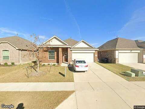 Tulip Poplar, MCKINNEY, TX 75071