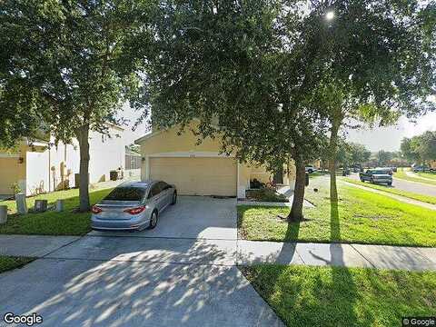 Scrub Jay, DAVENPORT, FL 33896