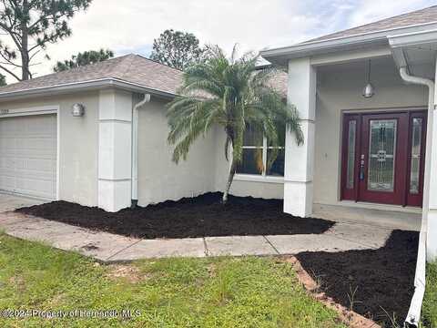Mitten, SPRING HILL, FL 34609