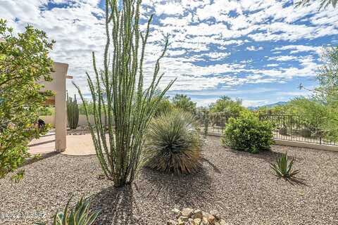Bosque, SAHUARITA, AZ 85629