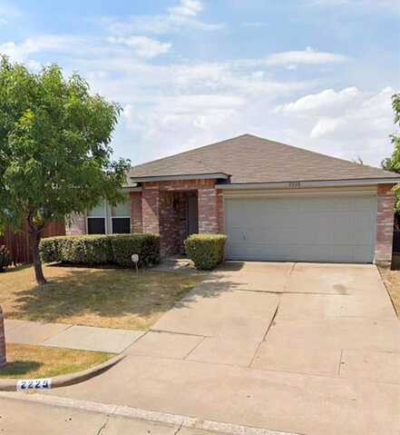 Birch, LITTLE ELM, TX 75068