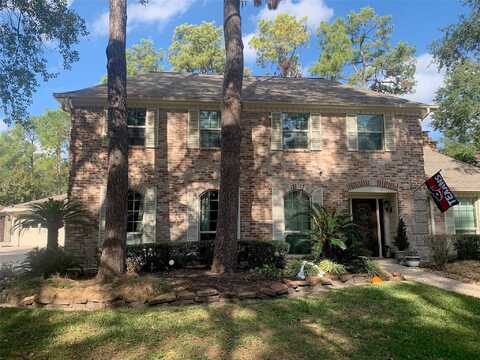 Court Of Lions, HOUSTON, TX 77069