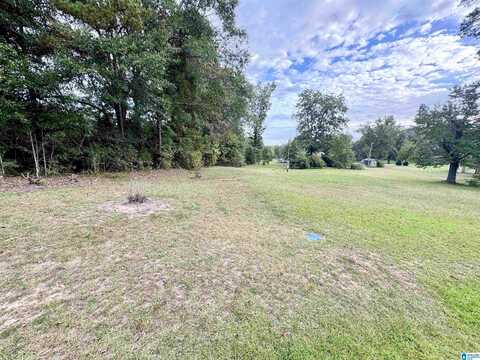 Loper Lane, Maplesville, AL 36750