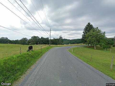 Ellison Ridge Rd, Jumping Branch, WV 25969