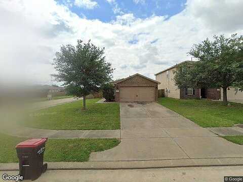 Wild Duck, HOCKLEY, TX 77447