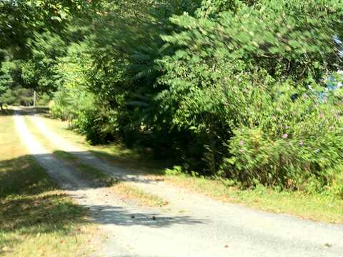 Plum Branch, LYNCHBURG, VA 24504