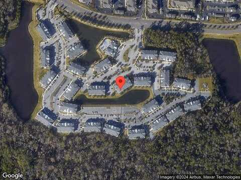 Green Parrot, JACKSONVILLE, FL 32256