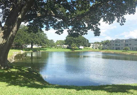 Deleon, DUNEDIN, FL 34698