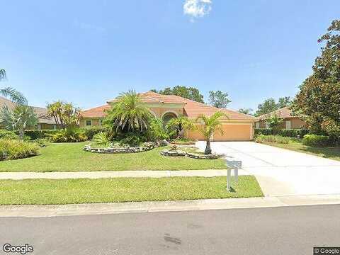 Mimosa, PALM HARBOR, FL 34685