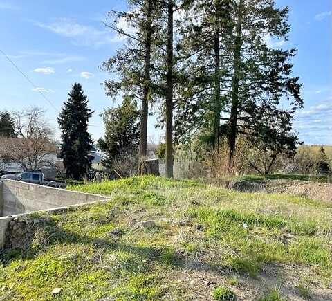 Park, DAVENPORT, WA 99122