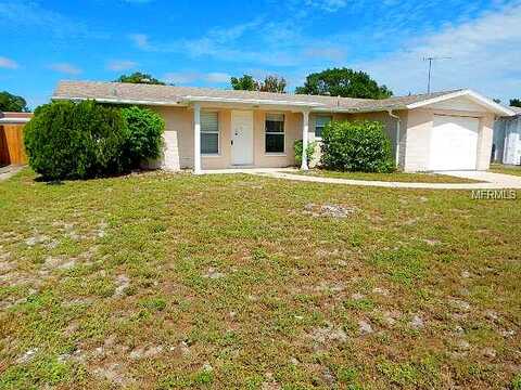 Tyson, PORT RICHEY, FL 34668