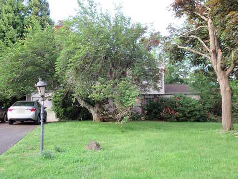 Parmentier, WARMINSTER, PA 18974