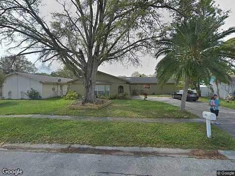 Brookview, TAMPA, FL 33634