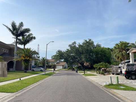 Apple Ridge, TAMPA, FL 33624