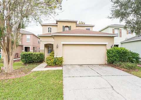 Peppervine, WESLEY CHAPEL, FL 33544