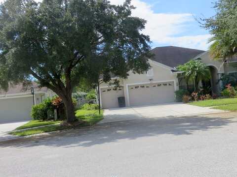 Hanging Vine, LAND O LAKES, FL 34639