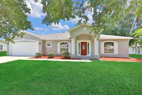 Pine Tree, EDGEWATER, FL 32141
