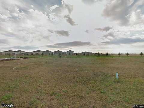 Perennial, ROSENBERG, TX 77471