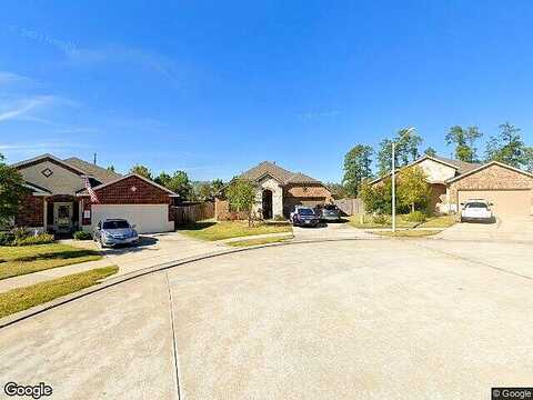 Little Blue Heron, CONROE, TX 77304