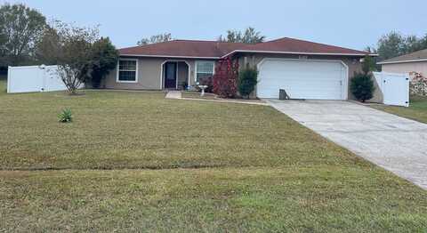 Delmonte, KISSIMMEE, FL 34758