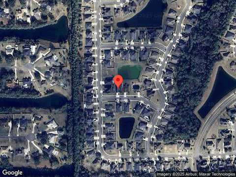 Blackbird, MIDDLEBURG, FL 32068