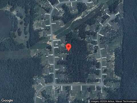 Needleleaf, BARNESVILLE, GA 30204