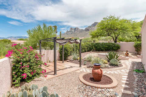 Alder Spring, TUCSON, AZ 85737