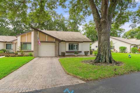 Heather Walk, WEEKI WACHEE, FL 34613