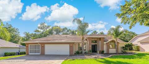 Linder, HOMOSASSA, FL 34446