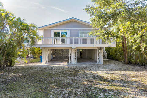 Rose, BIG PINE KEY, FL 33043