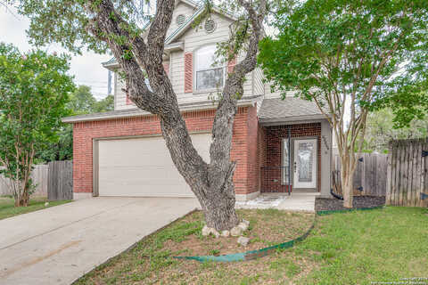 Goldcrest, SAN ANTONIO, TX 78260