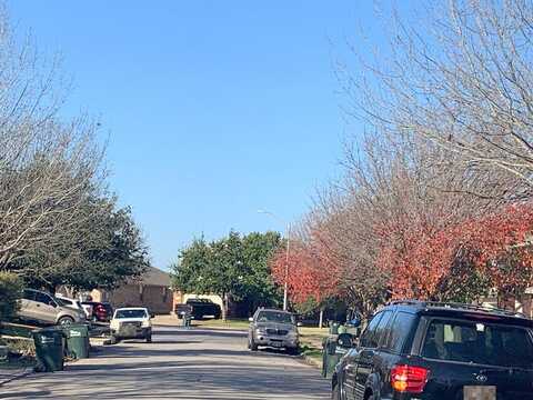 Stone Rim, BUDA, TX 78610