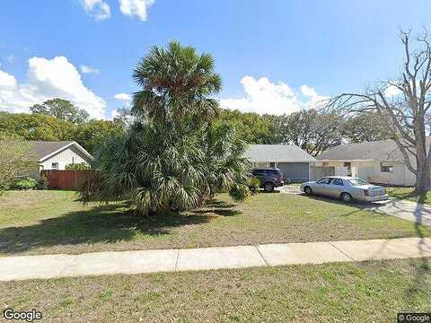 Scruboak, HUDSON, FL 34667