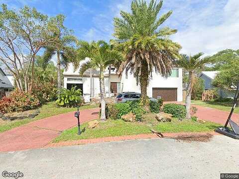 Black Olive, TAMARAC, FL 33321