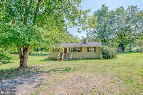 White Pine, DELTA, PA 17314