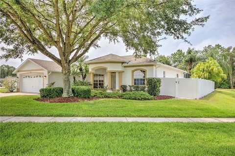 Fletch, LAND O LAKES, FL 34637