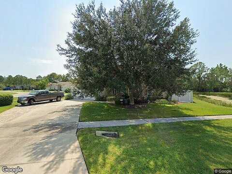 Fletch, LAND O LAKES, FL 34637